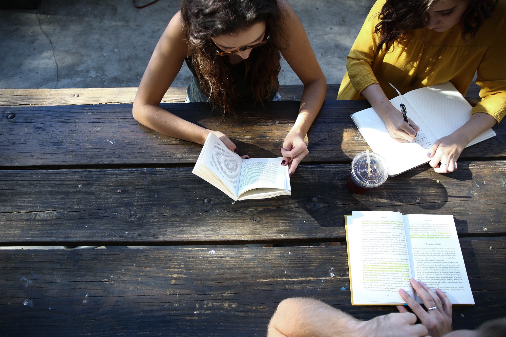 Students looking through text books on bench outside 